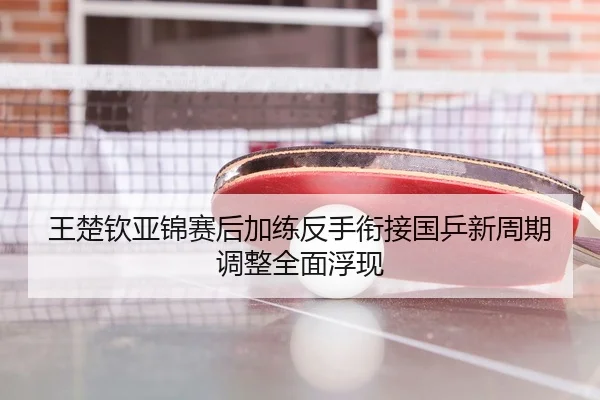王楚钦亚锦赛后加练反手衔接国乒新周期调整全面浮现