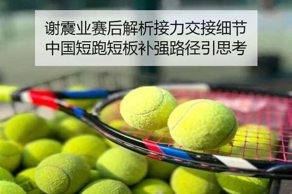 谢震业赛后解析接力交接细节 中国短跑短板补强路径引思考